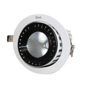 Otali Adjustable Omni- Directional Led Trunk Downlight 30W Day Light 5300k /Warm White 2800k